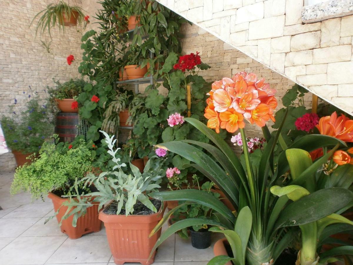 Villa Vrancic Rovinj Zewnętrze zdjęcie
