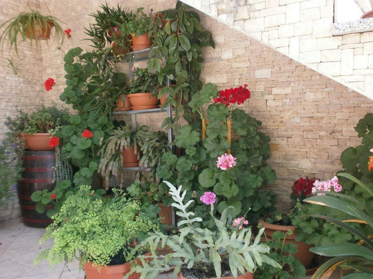 Villa Vrancic Rovinj Zewnętrze zdjęcie