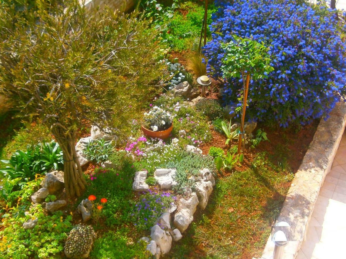 Villa Vrancic Rovinj Zewnętrze zdjęcie
