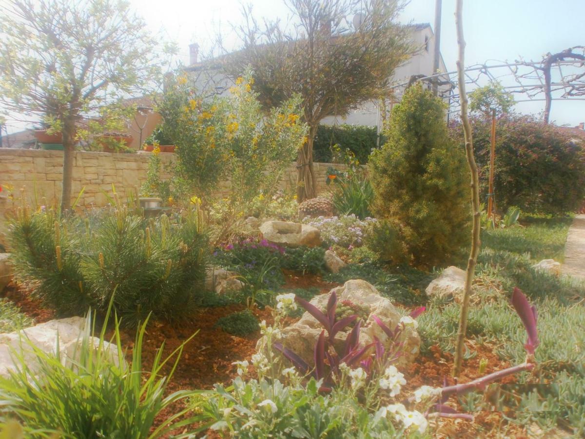 Villa Vrancic Rovinj Zewnętrze zdjęcie